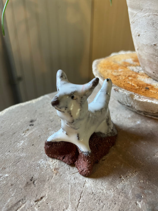 Willy the Wolf Puppy